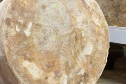 Bay of Fires Cheese owner Ian Fowler with his cloth bound cheddar cheese in the maturation room at St Helens